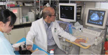 �����̗l�q